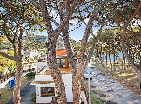 Ancora Apartment